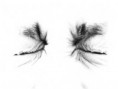 /album/galeria-de-fotos-artes-visuais3/olhos-jpg/