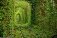 /album/galeria-de-fotos-artes-visuais3/natureza-jpg/